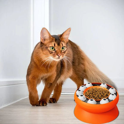 beau chat devant gamelle pour chat orange