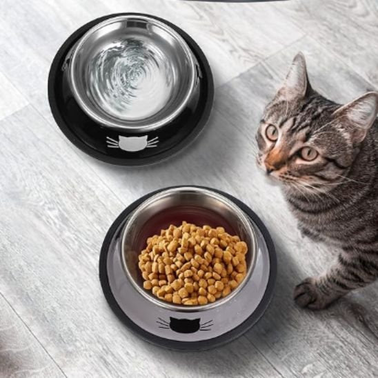 gamelle pour chat grise bol inox