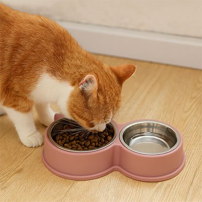 chat roux mange croquette dans sa gamellepour chat rose