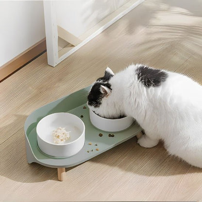 gamelle pour chat design couleur menthe
