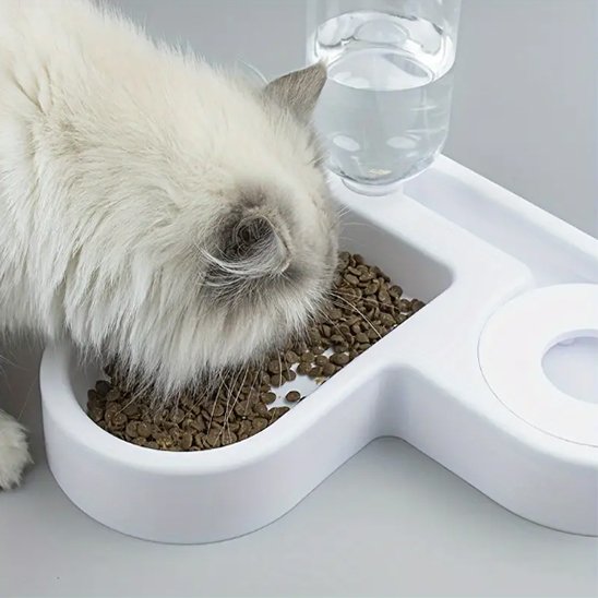 chat blanc mange croquettes dans sa gamelle pour chat