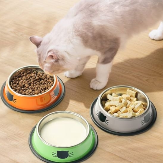 gamelle pour chat orange vert et gris motif chat noir