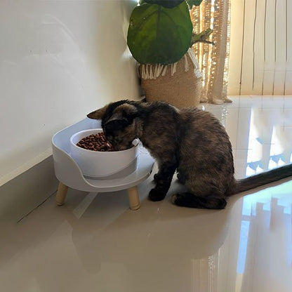 chaton mange dans sa gamelle pour chat grise
