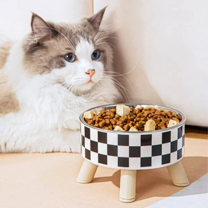 chat blanc aux yeux bleu assied devand gamelle chat damier