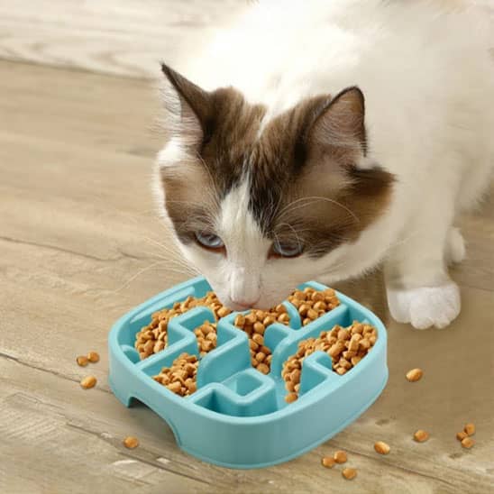 gamelles-anti-glouton-chat-bleu