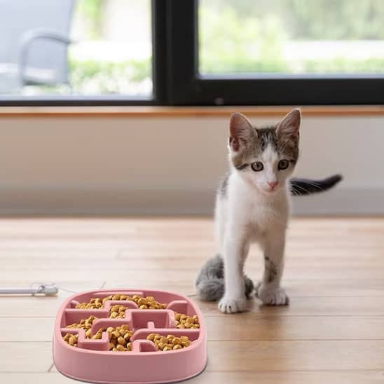 gamelles-anti-glouton-chat-chaton