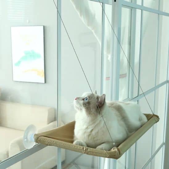 chat sur son hamac chat suspendu 