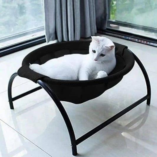 chat blanc dans son Hamac pour chat