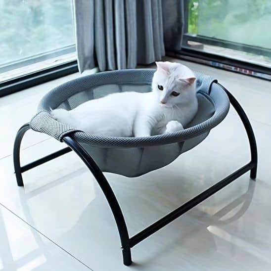 chat gris couche dans son hamac pour chat gris