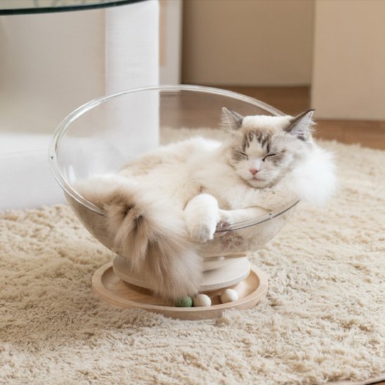 Lit-pour-chat-design-sphere