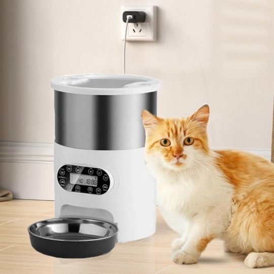 meilleur-distributeur-automatique-croquettes-chat-chat-blanc-roux-assied