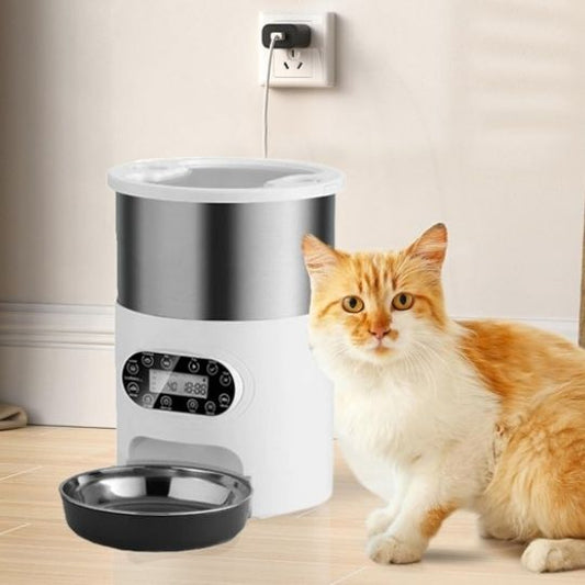 meilleur-distributeur-automatique-croquettes-chat-chat-blanc-roux-assied