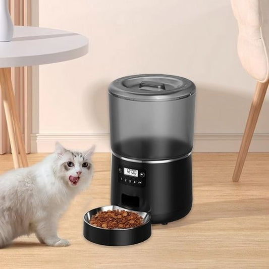 meilleur-distributeur-automatique-croquettes-pour-chat-noir-4repas-