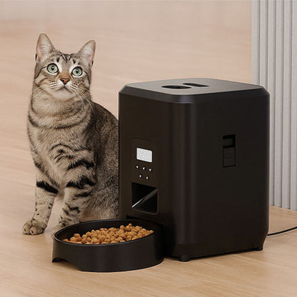 meilleur distributeur automatique croquettes pour chat