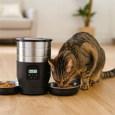 meilleur-distributeur-automatique-de-croquettes-pour-chat-noir