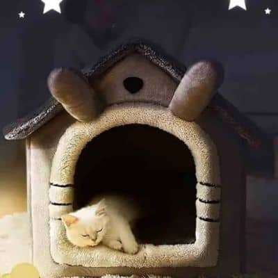 niche-pour-chat-douillet