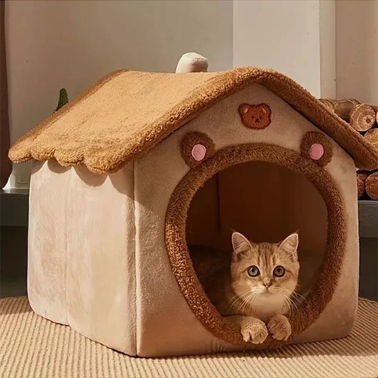 niche pour chat avec un chat roux 
