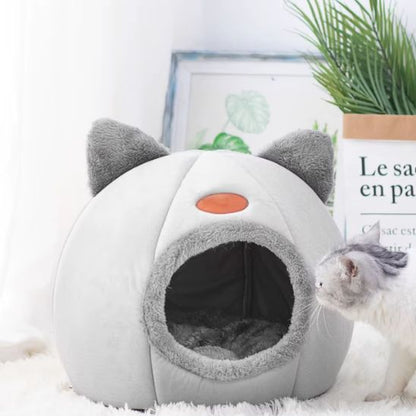 chat entrant dans sa niche pour chat