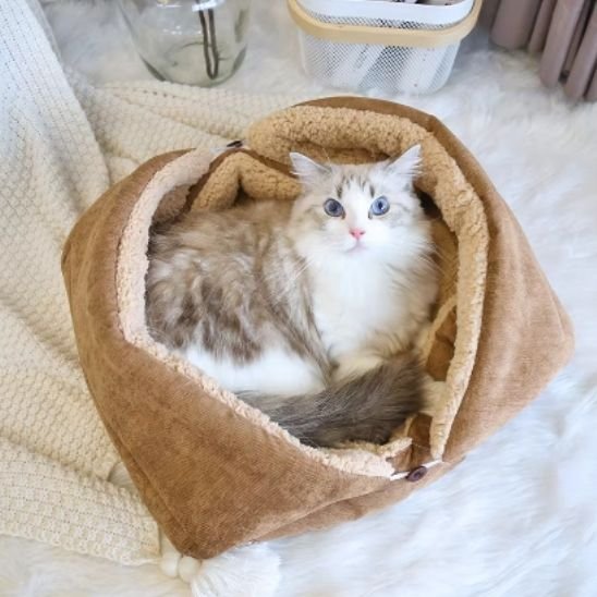 Panier-chat-cosy