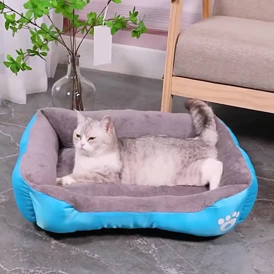 panier chat moelleux forme rectangle couleur turquoise