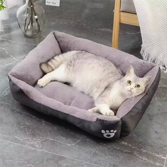 chat gris clair coucer dans son panier chat noir