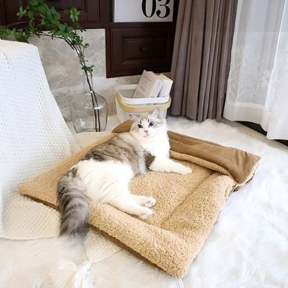 Panier-chat-tapis