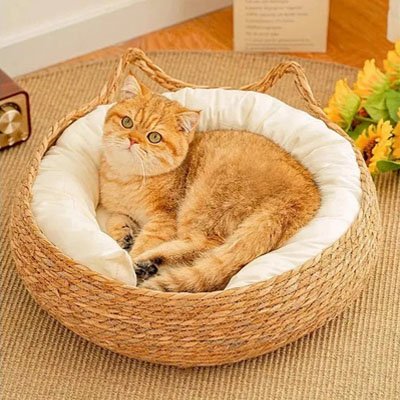 Panier-osier-Chat-coussin -amovible