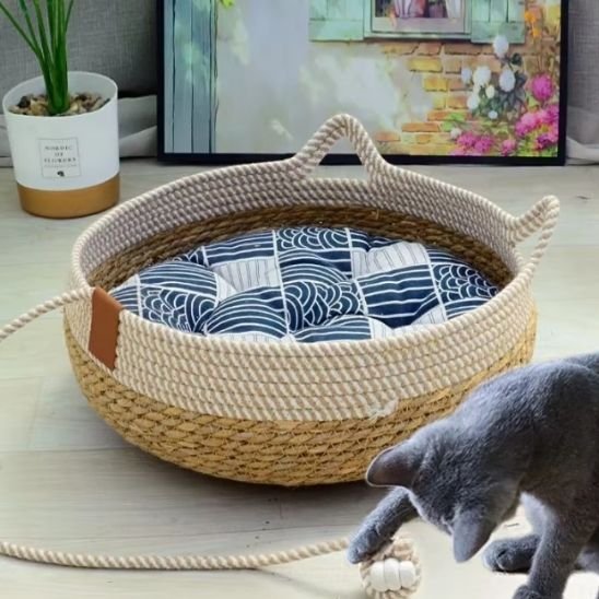 Panier-osier-chat-coussin-bleu-balle