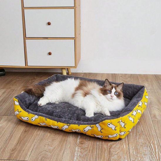 chat dans Panier-pour-Chat-doux