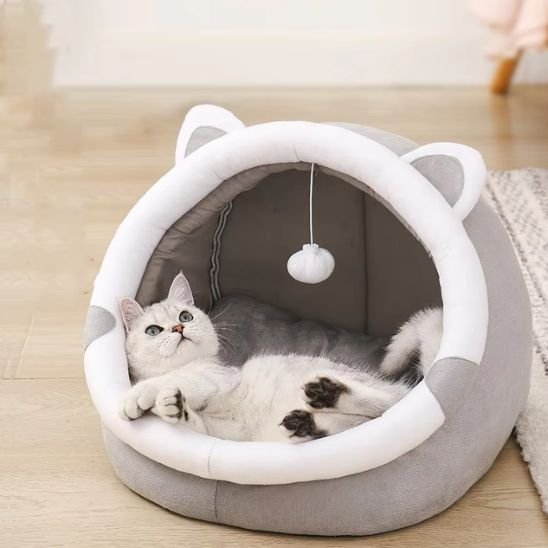 chat gris couché dans son panier pour chat avec coussin
