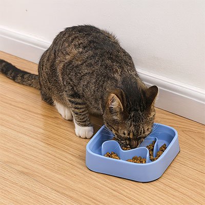 Gamelle anti glouton Chat | Digest™