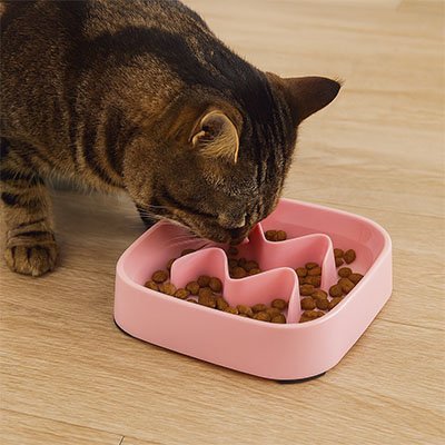 Gamelle anti glouton Chat | Digest™